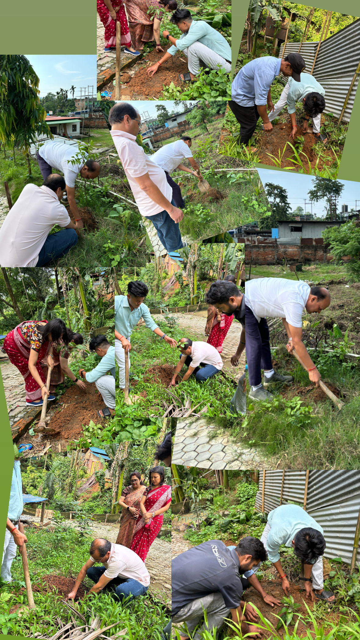 Tree Plantation on the occasion of World Environme...